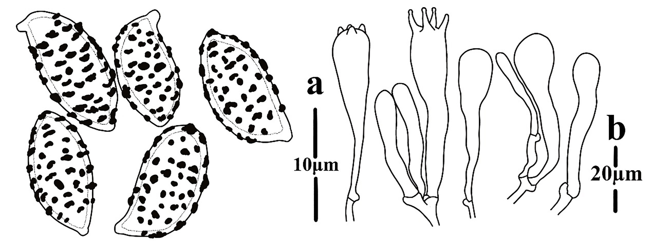 Figure 134